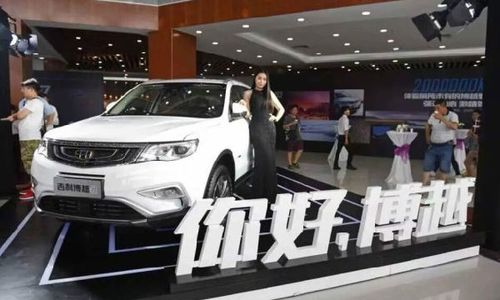 中国有多少汽车疯子